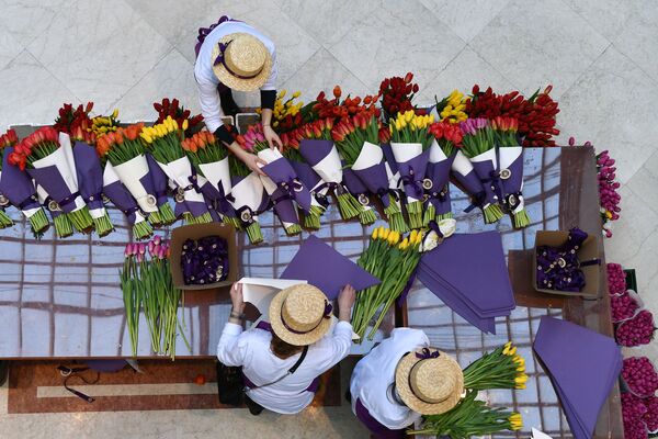 فروش گل های لاله در آستانه ۸ مارچ - مسکو - اسپوتنیک افغانستان  