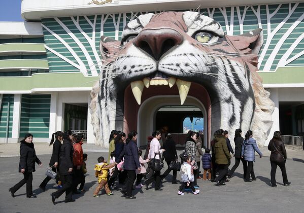باغ وحش شهر پیونگ یانگ، کوریای شمالی - اسپوتنیک افغانستان  