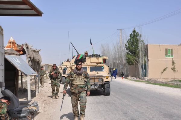 شاهین شاهین - اسپوتنیک افغانستان