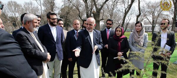 محب: در سال جدید رویدادهای مهمی در افغانستان رخ خواهند داد محب: در سال جدید رویدادهای مهمی در افغانستان رخ خواهند داد - اسپوتنیک افغانستان