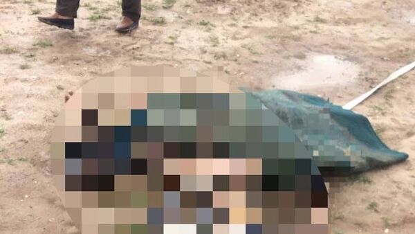 یک تروریست چادری پوش در ولایت فاریاب از پا درآورده شد - اسپوتنیک افغانستان  