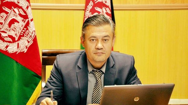 عبدالعزیز آریایی، رییس اسبق کمیسیون رسیدگی به شکایات انتخاباتی - اسپوتنیک افغانستان  