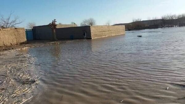 سیلاب در فراه - اسپوتنیک افغانستان  
