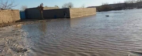 سیلاب در فراه - اسپوتنیک افغانستان  