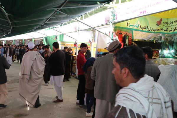 نمایشگاه محصولات کشاورزی و صنایع دستی در کابل - اسپوتنیک افغانستان  