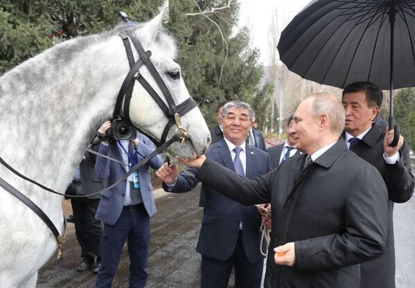 رئیس جمهور قرقیزستان اسب نژاد اورلوف و سگی به نام شیرخان را به رئیس جمهور روسیه هدیه کرد. - اسپوتنیک افغانستان  