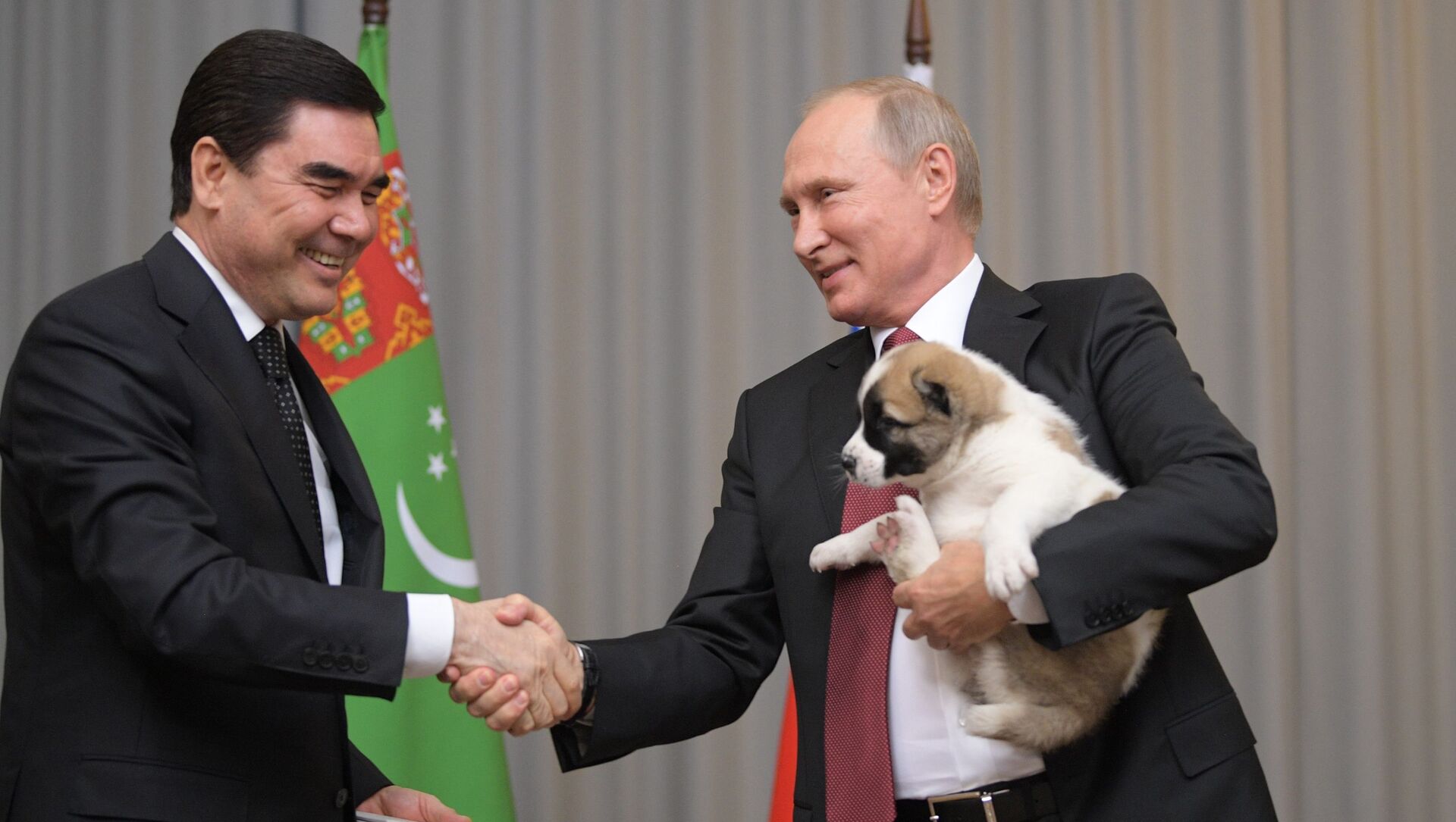 یک روز تعطیلی در سال در ترکمنستان به احترام نژاد سگ «آلابای» - اسپوتنیک افغانستان  , 1920, 26.02.2021