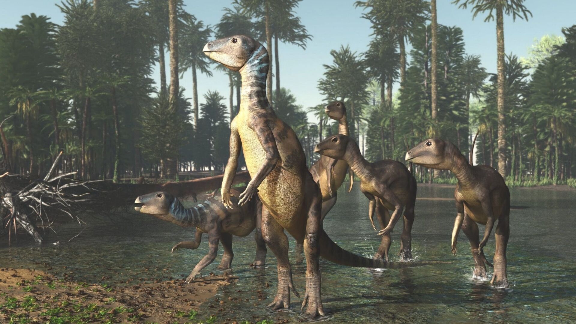 Изображение орнитоподов - двуногих травоядных динозавров - اسپوتنیک افغانستان  , 1920, 23.03.2022