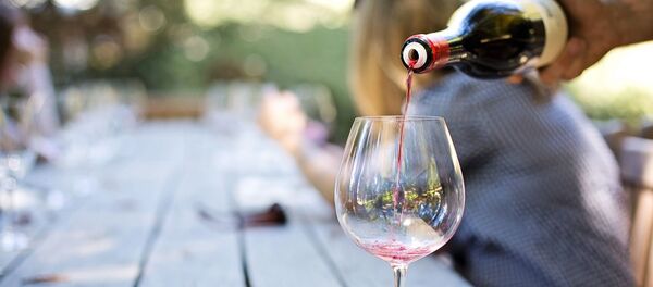 دانشمندان: شراب بشریت را از انقراض نجات داد دانشمندان: شراب بشریت را از انقراض نجات داد - اسپوتنیک افغانستان