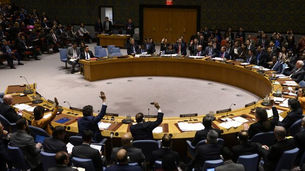 رای نیاوردن قطعنامه امریکا در شورای امنیت برای تمدید تحریم های تسلیحاتی در برابر ایران/ واکنش ها - اسپوتنیک افغانستان  