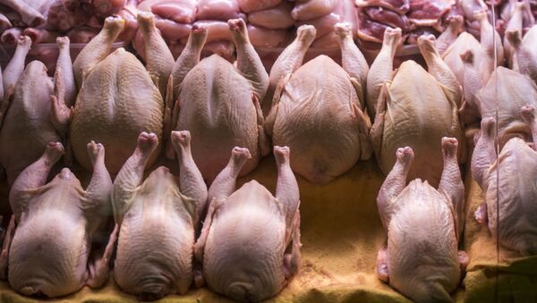 نگرانی‌ها از واردشدن گوشت مرغ قاچاقی از ایران و پاکستان به افغانستان - اسپوتنیک افغانستان  
