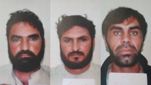 یک گروپ مشهور سه نفری اختطافچیان ولایت کابل و ننگرهار دستگیر گردید. - اسپوتنیک افغانستان  