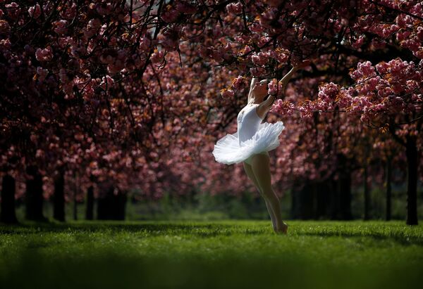 رقصنده ای در باغ آلبالو - پاریس، فرانسه - اسپوتنیک افغانستان  