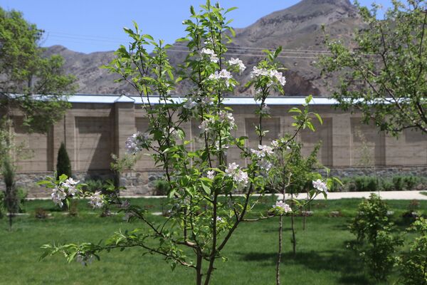 قصر و باغ چهلستون پس از بازسازی، کابل افغانستان - اسپوتنیک افغانستان  