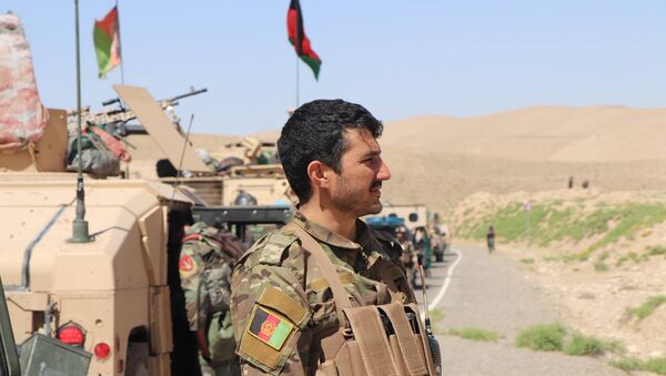 کشته و زخمی شدن 6 طالب در ولایت فاریاب - اسپوتنیک افغانستان  