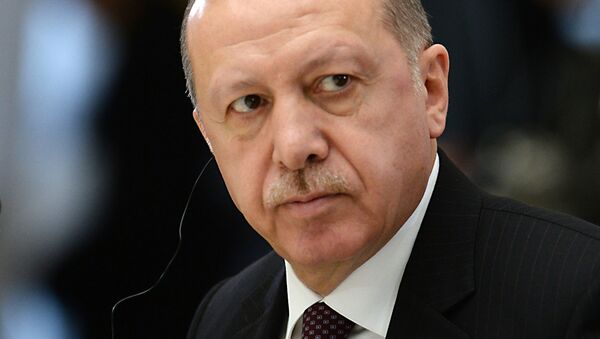 اردوغان بار دیگر اتحادیه اروپا را تهدید کرد - اسپوتنیک افغانستان  