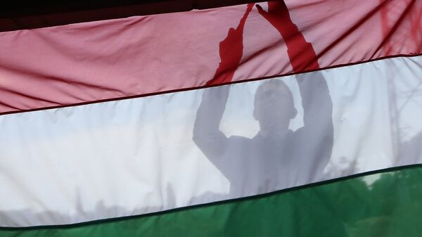 Мужчина на фоне флага Венгрии. Архивное фото - اسپوتنیک افغانستان  