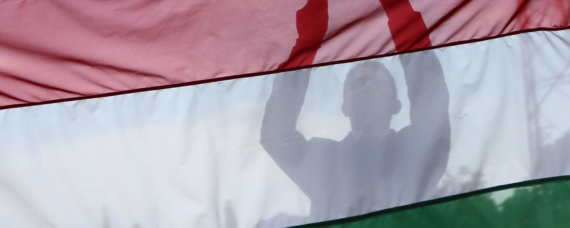 Мужчина на фоне флага Венгрии. Архивное фото - اسپوتنیک افغانستان  , 1920, 13.07.2022