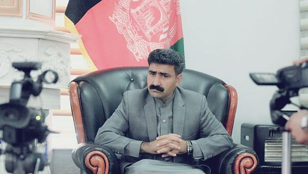 آیا براستی کامران علیزایی با زورگویی مقام های هرات را برکنار می کند؟ - اسپوتنیک افغانستان  