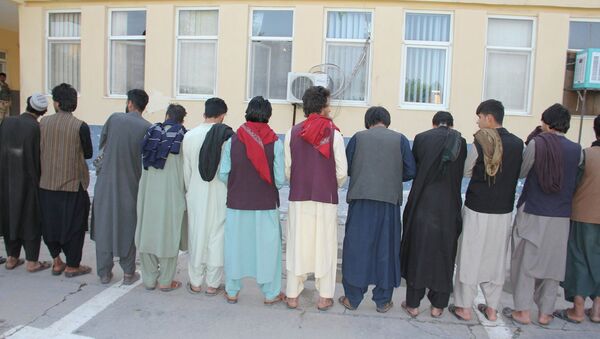 بازداشت 20 آدم‌ربا در یک ماه اخیر در ولایت هرات - اسپوتنیک افغانستان  