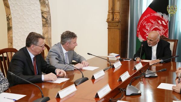 تلاش آلمان برای از سرگیری مذاکرات طالبان با دولت افغانستان - اسپوتنیک افغانستان  