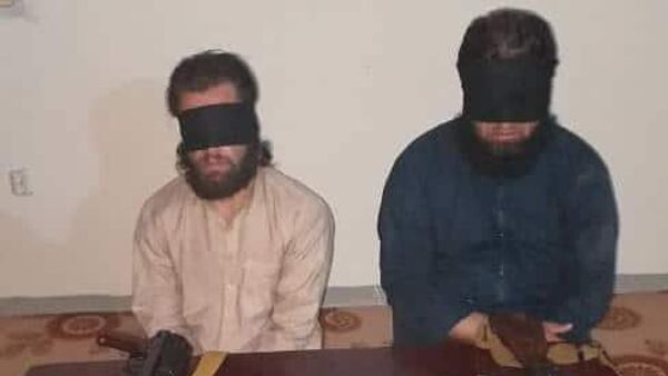 بازداشت دو ماین گذار طالبان در ولایت ننگرهار - اسپوتنیک افغانستان  