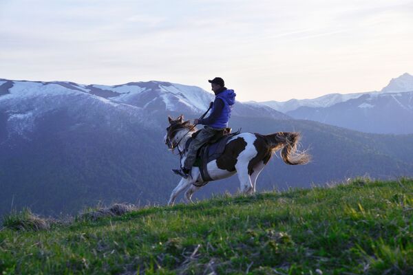 بازرس بخش شمالی قفقاز بالای اسب در اندوخته طبیعی قفقاز شاپوشنیکف - اسپوتنیک افغانستان  