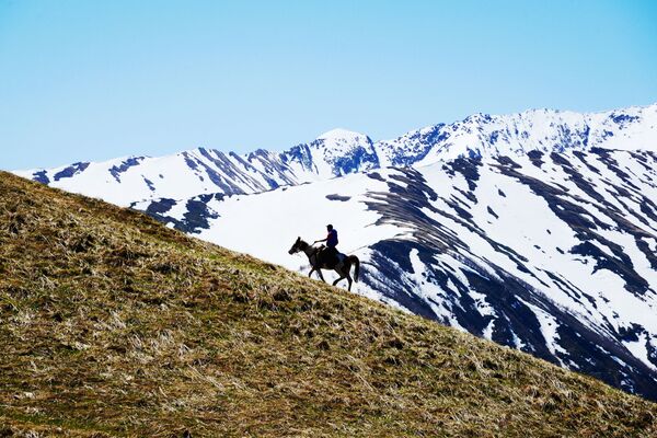 اسب سواری در قلمرو بخش شمالی ذخیره گاه طبیعی قفقاز به نام شاپوشنیکف - اسپوتنیک افغانستان  