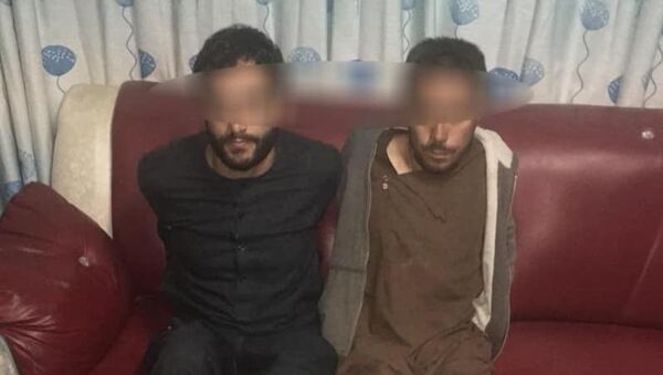 دستگیری دو دزد در ساحه حوزه هفتم کابل - اسپوتنیک افغانستان  