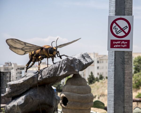 پارک حشرات غول پیکر – تهران، ایران - اسپوتنیک افغانستان  