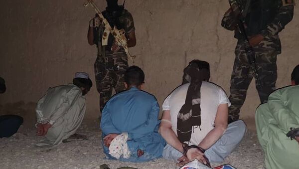 بازداشت مسوول حملات چریکی طالبان در ولایت فراه - اسپوتنیک افغانستان  