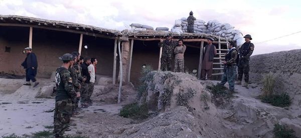 کشته شدن یک سرگروه طالبان در ولایت فاریاب کشته شدن یک سرگروه طالبان در ولایت فاریاب - اسپوتنیک افغانستان