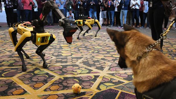 Собака К9 и робот-собака Spot во время конференции Amazon Re:MARS - اسپوتنیک افغانستان  