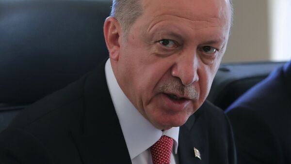 اردوغان از توانایی مقابله با هرنوع تحریم امریکا و اروپا سخن گفت - اسپوتنیک افغانستان  