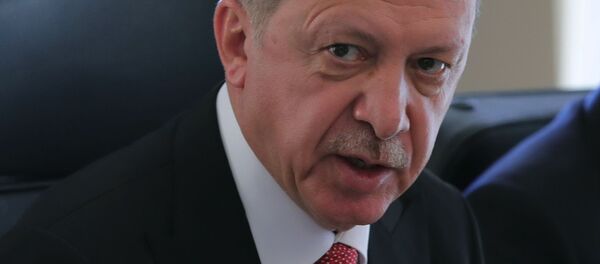 اردوغان - اسپوتنیک افغانستان  