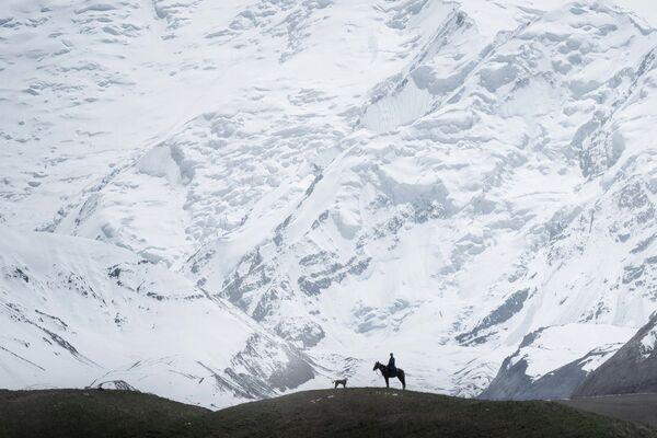 چوپان در کنار قله لنین – قرقیزستان - اسپوتنیک افغانستان  