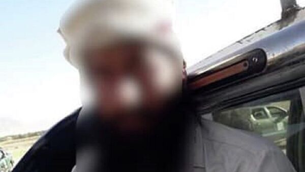 یک فرد کلیدی طالبان در ولایت پروان بازداشت شد - اسپوتنیک افغانستان  