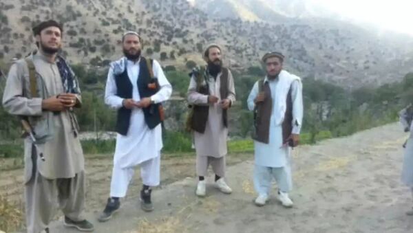 عضو ارشد کمیسیون نظامی طالبان با نقشه مرزی افغان – تاجیک در شمال دستگیر شد - اسپوتنیک افغانستان  