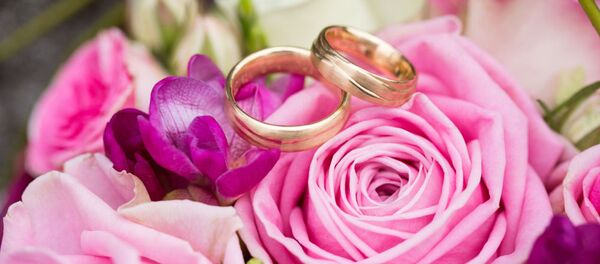 لغو مراسم جشن عروسی در کالیفرنیا به نفع افراد بی خانمان به پایان رسید - اسپوتنیک افغانستان  