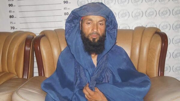 بازداشت یک عضو برجسته گروه طالبان در تخار + ویدیو - اسپوتنیک افغانستان  