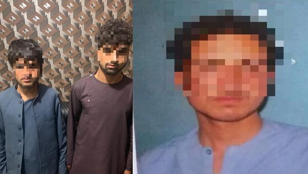 پولیس کابل:بازداشت دو تن چپاولگر حرفوی موبائل و یک دزد نمبر پلیت موتر توسط پولیس کابل - اسپوتنیک افغانستان  