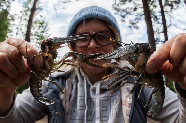 دختری با خرچنگ ها در دریاچه‌ای در ریزانسک - روسیه - اسپوتنیک افغانستان  