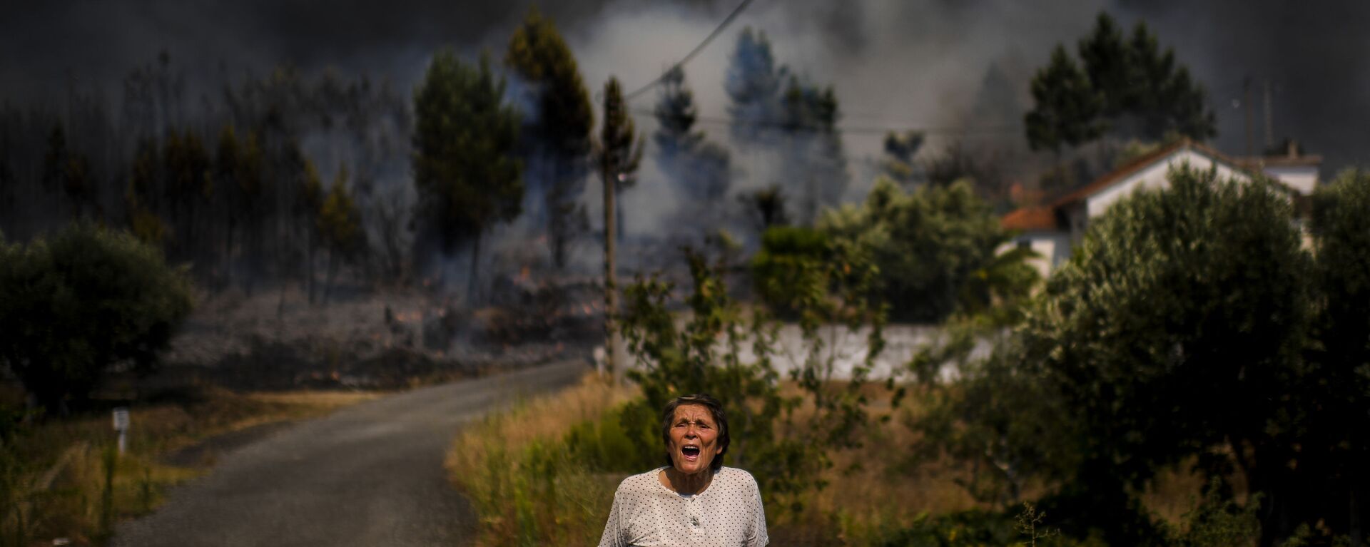 آتشسوزی جنگلات سایبریا - اسپوتنیک افغانستان  , 1920, 05.08.2019