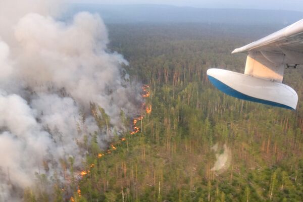 Лесной пожар в Богучанском районе Красноярского края, снятый с борта самолета Бе-200 - اسپوتنیک افغانستان  