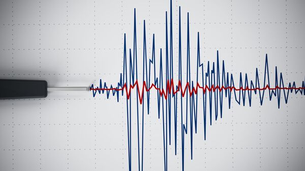 وقوع زلزله شدید در اندونیزیا - اسپوتنیک افغانستان  