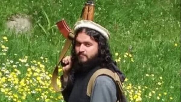 معاون والی نام نهاد طالبان در پنجشیر با 5 تن از افرادش کشته شد - اسپوتنیک افغانستان  