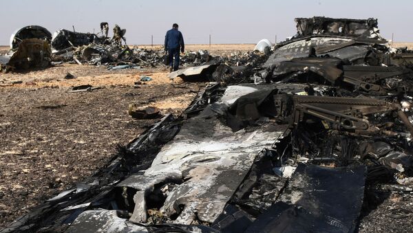 شواهد جدید سقوط طیاره روسی در سینا - اسپوتنیک افغانستان  
