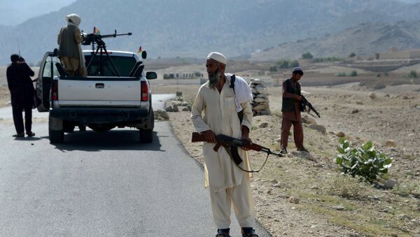 در کنار پولیس محلی افغان، اردوی محلی نیز تشکیل می‌شود - اسپوتنیک افغانستان  