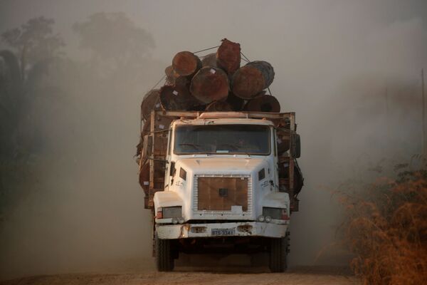 بی‌سابقه‌ ترین آتش‌سوزی جنگل‌های آمازون در برازیل - اسپوتنیک افغانستان  