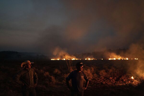بی‌سابقه‌ ترین آتش‌سوزی جنگل‌های آمازون در برازیل - اسپوتنیک افغانستان  